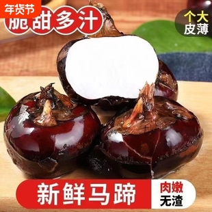 新鲜马蹄5斤荸荠应当季水果蔬菜现挖马蹄莲脆地栗梨饽荠大果