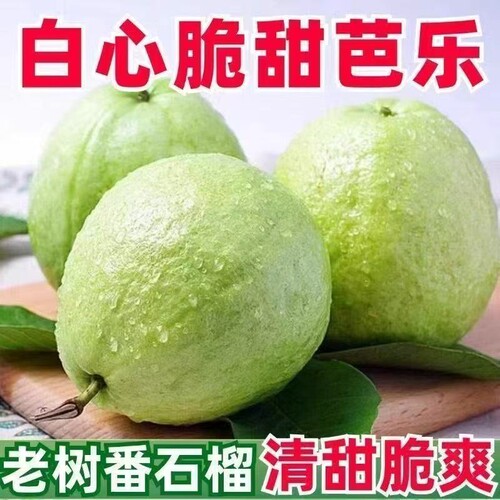 正宗珍珠芭乐白心番石榴硬脆新鲜低脂低糖水果现摘现发应季一整箱
