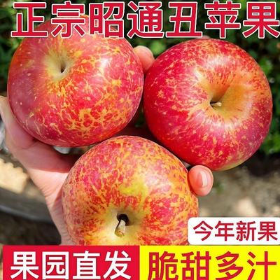 云南昭通丑苹果新鲜现摘冰糖心脆甜当季整箱9斤红富士产地直发