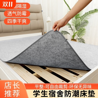 防潮垫床上用吸湿床垫学生宿舍