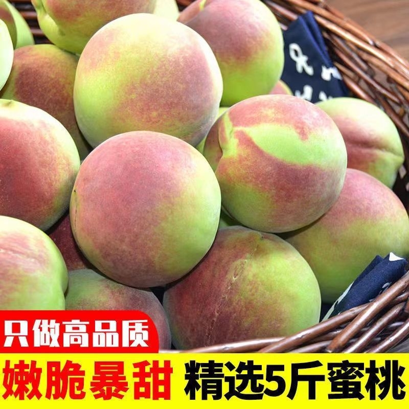 山东青州蜜桃冬桃雪桃桃子新鲜毛桃现发孕妇水果脆甜蜜产地精选