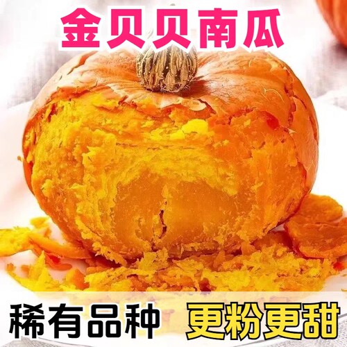 金贝贝南瓜红皮小南瓜迷你粉糯板栗味红贝贝新鲜辅食好吃的回购