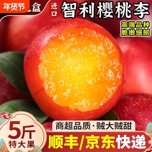 礼盒装智利樱桃李5斤李子当季新鲜超甜樱桃枣蜜李进口红布林水果