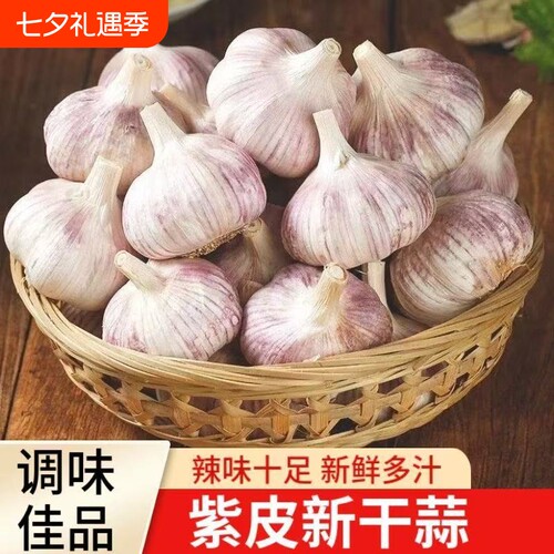 金乡大蒜2026新干蒜农家大蒜头紫白皮新干蒜农家自种蒜种籽旗舰店