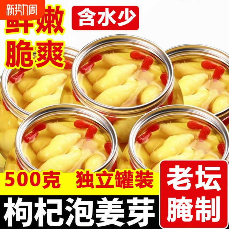 淄博枸杞泡姜芽泡菜嫩姜芽新鲜酸甜开胃腌制泡菜糖醋姜嫩生姜姜片