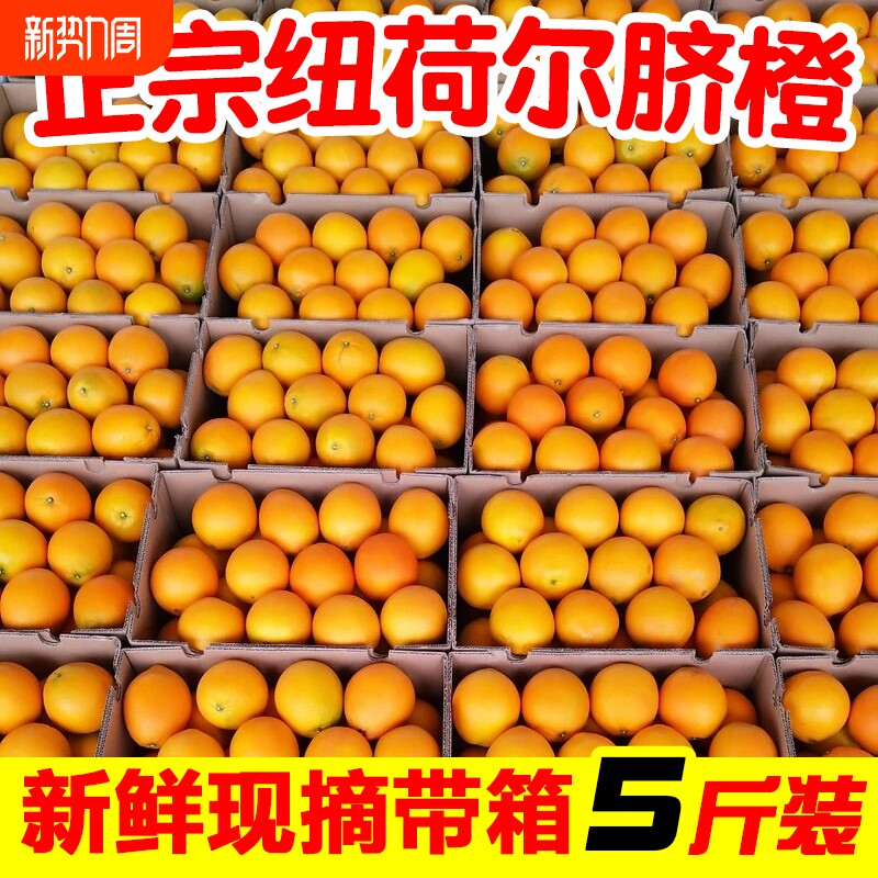 湖南纽荷尔脐橙5斤装当季新鲜手剥橙子仅11.9元