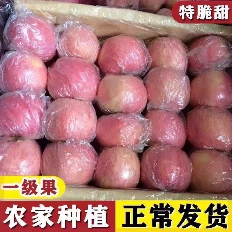2025新鲜苹果正宗红富士苹果应季丑果冰糖脆甜新鲜水果批发一整箱