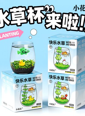 小花农快乐水草种植杯小清新