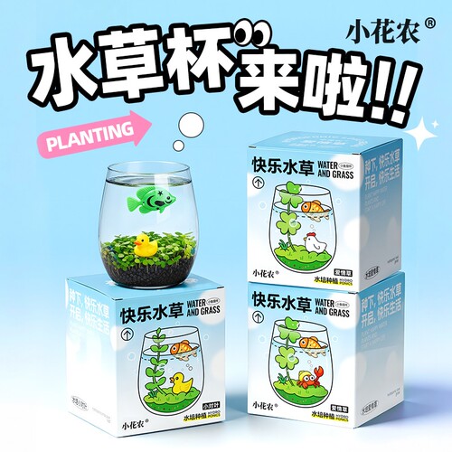 小花农快乐水草种植杯小清新