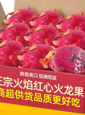 云南高山焰火品种红心火龙果