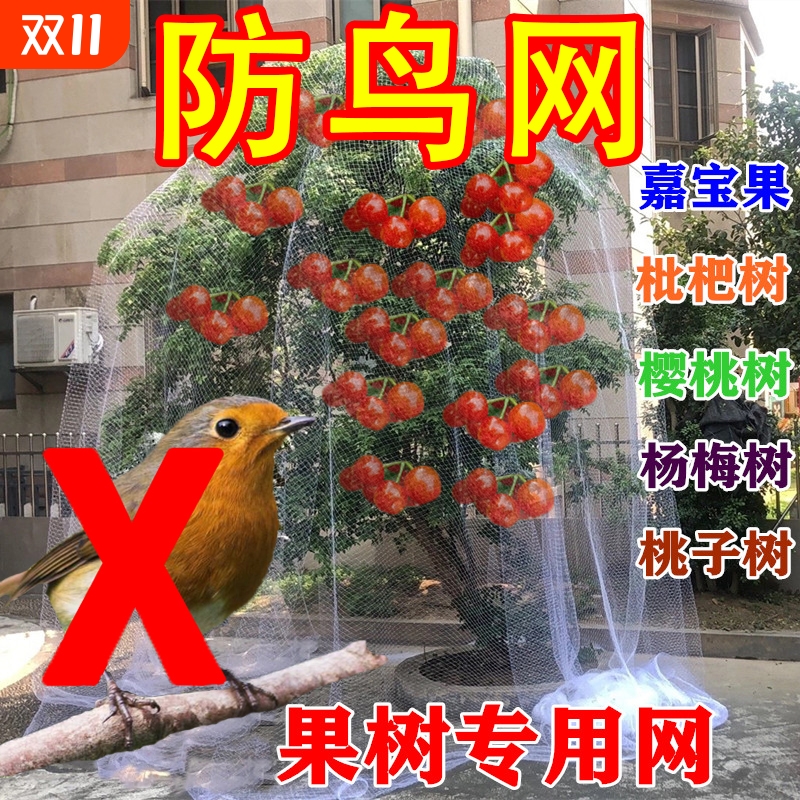果树防鸟网罩嘉宝果枇杷蓝莓果园尼龙防护网防鸟网葡萄加密种植