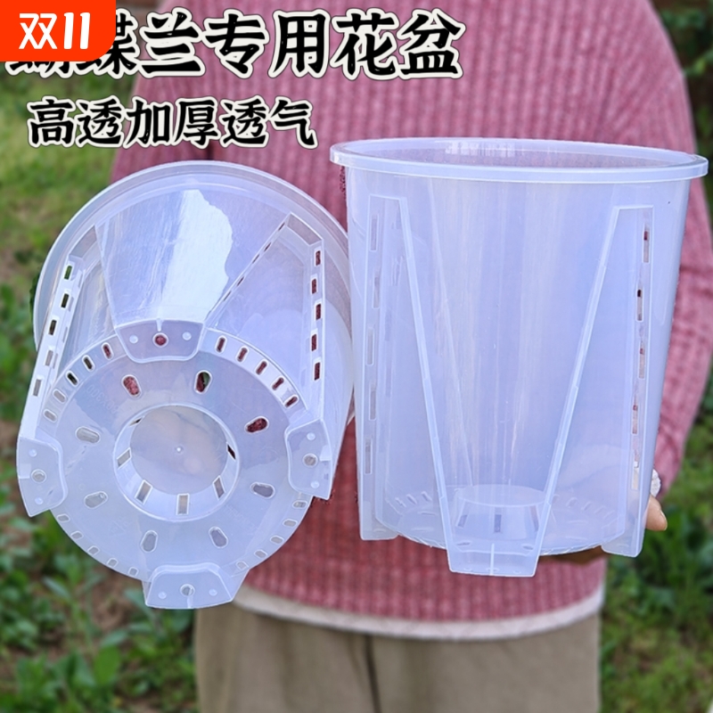 透明青山镂空简约环保透气蝴蝶兰
