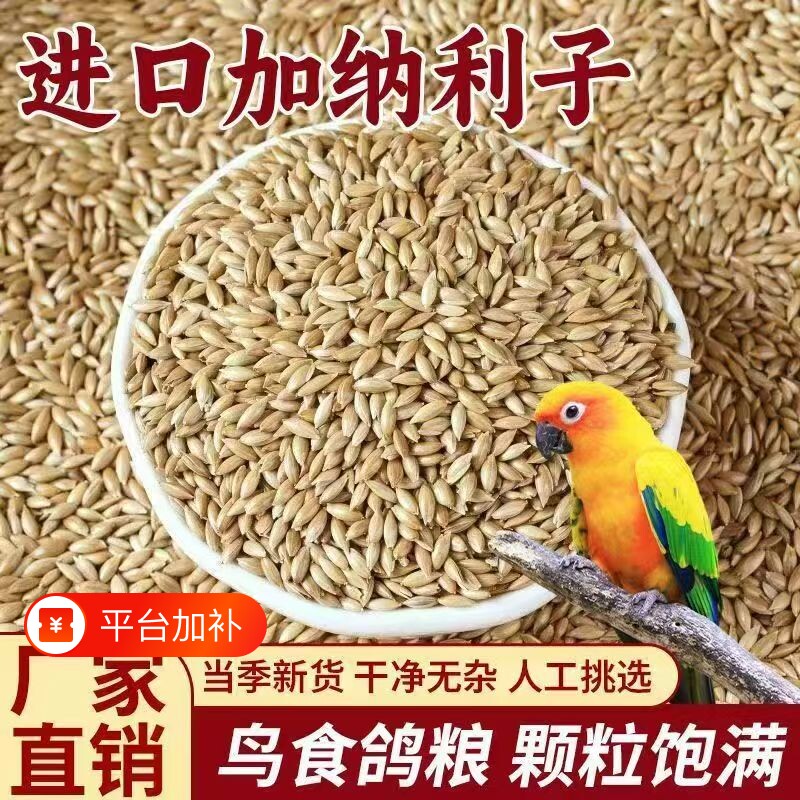 进口加纳利子鹦鹉粮饲料鸟粮零食粮食奖励牡丹玄凤虎皮小太阳专用