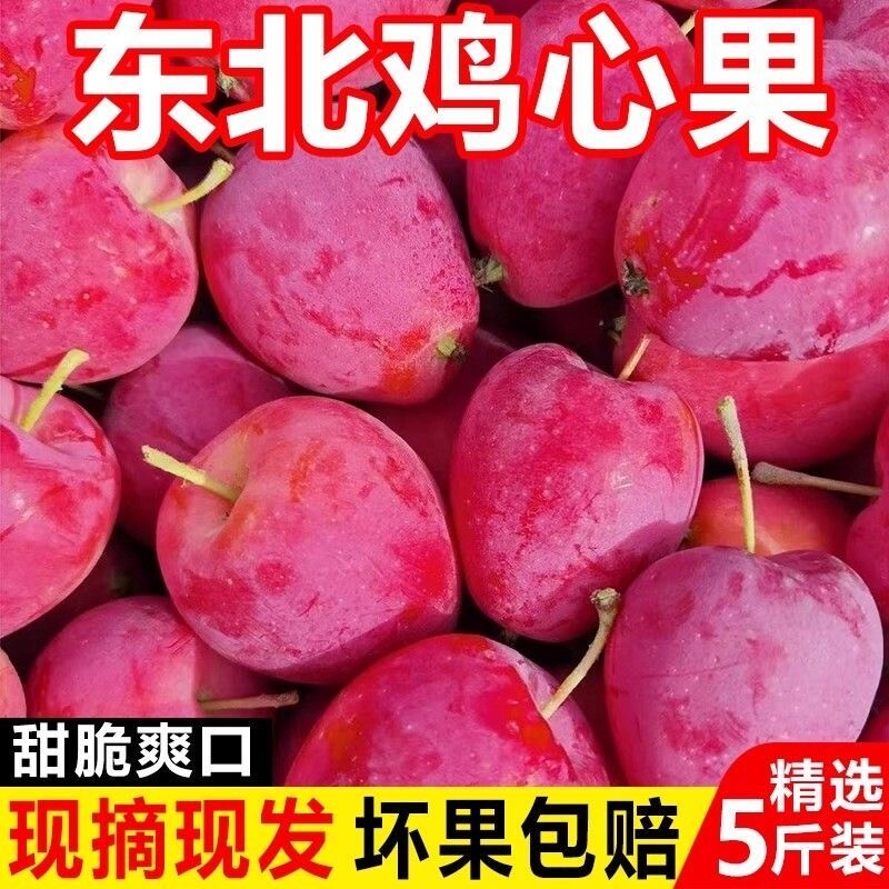 正宗东北鸡心果沙果海棠果小苹果糖心果当季孕妇水果大果新鲜现摘