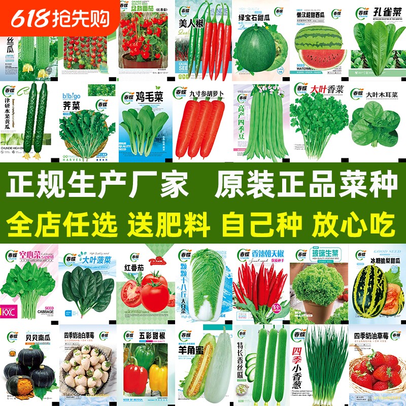 蔬菜种子番茄子辣椒长豇豆角四季豆生菜籽大全丝瓜阳台西瓜种植