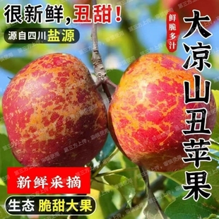 包邮 2025大凉山丑苹果新鲜当季 现摘孕妇水果盐源红富士冰糖心整箱