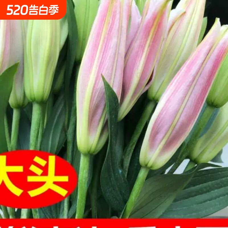 云南昆明基地直发真花水养鲜花花束香水百合批发速递同城家用配送