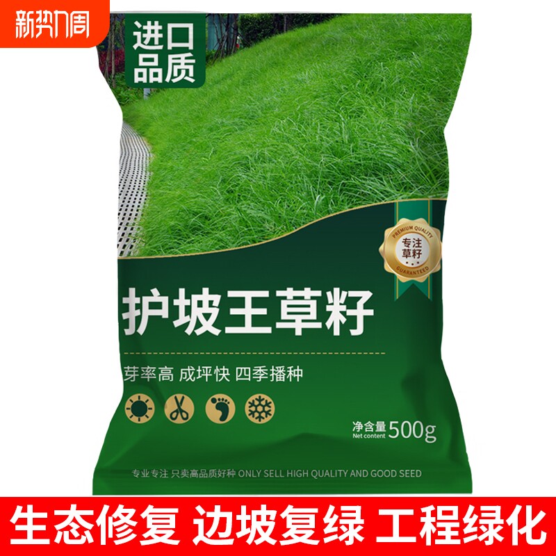护坡固土草籽护坡王绿化草坪四季青抗热植物护坡种子开花草种子