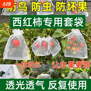 水果西红柿番茄套袋防虫网袋防鸟包专用保护袋子葡萄石榴柿子草莓