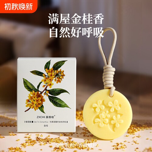 桂花衣柜香薰蜡片室内持久留香房间衣橱香水除味厕所除臭香片挂件