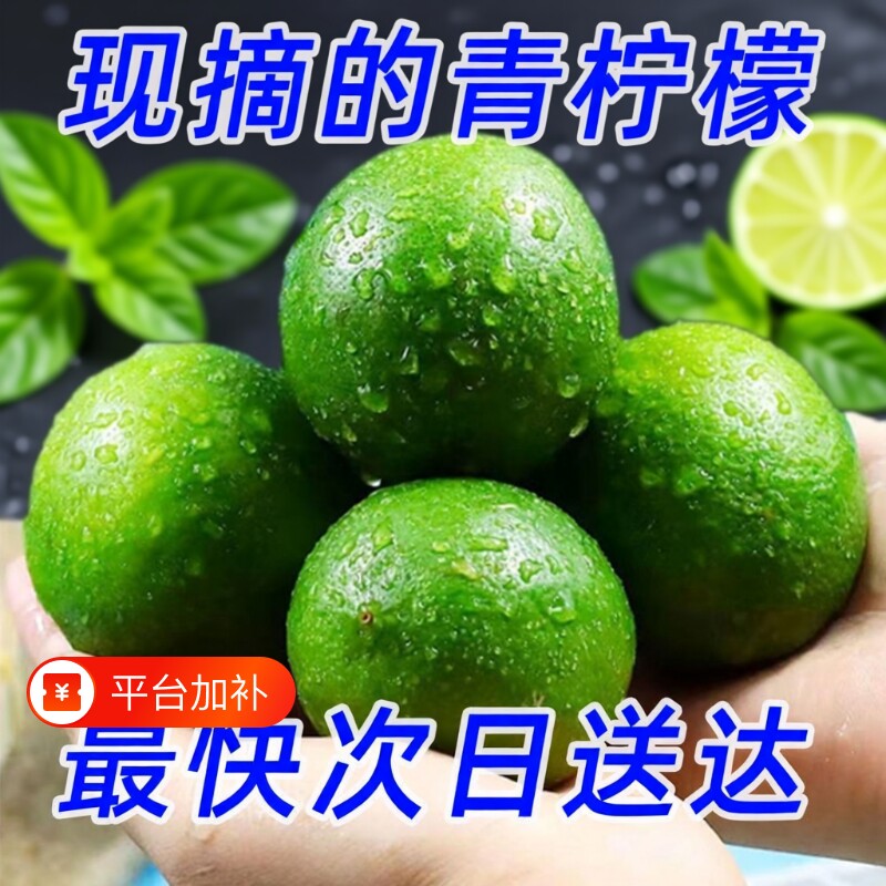 安岳柠檬四川青柠檬新鲜水果当季绿皮鲜果泡水奶茶店皮薄源头现摘