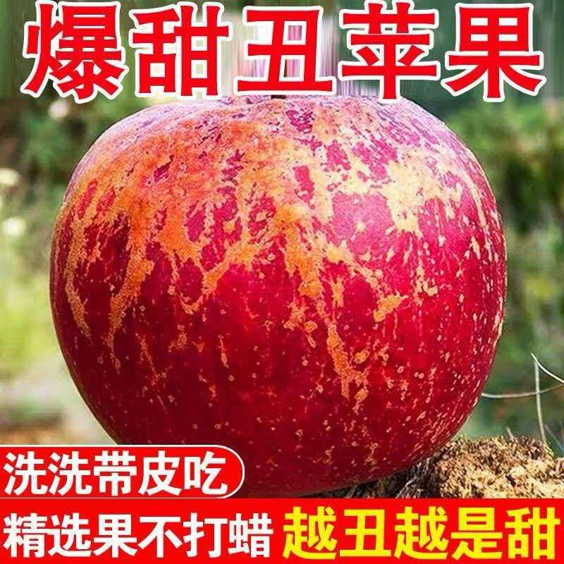 正宗高山冰糖心丑苹果红富士平果脆甜现摘整箱批发年货节好吃带箱