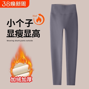 八分小个子鲨鱼皮打底裤女外穿冬季加绒灰色九分瑜伽裤子提臀收腹