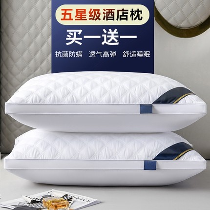 枕头套和枕芯一套成人家用一对装护颈椎助睡眠五星级酒店专用整头