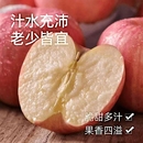 产地直发山西运城红富士苹果现摘现发新鲜脆甜美味水果送礼佳选