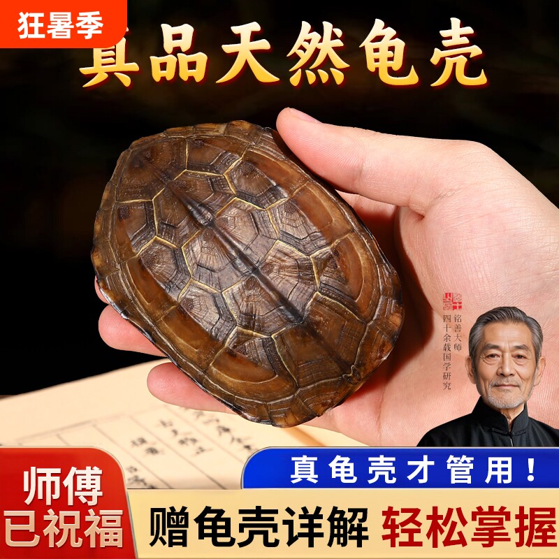 天然真乌龟壳龟甲六爻文玩摇卦工具周易64卦牌铜钱把玩件摆件桌面 - 实物图