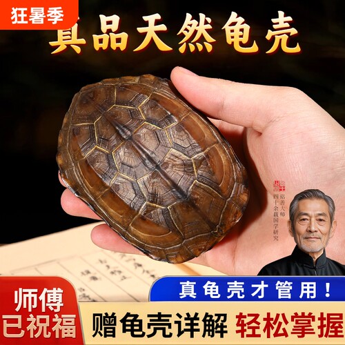 天然乌龟壳真龟甲文玩六爻把玩件