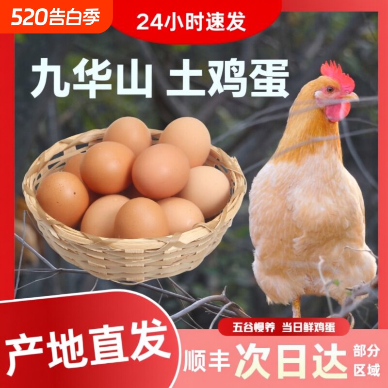 皖南土鸡蛋九华山高山散养土鸡蛋竹林蛋50枚产地直发顺丰包邮