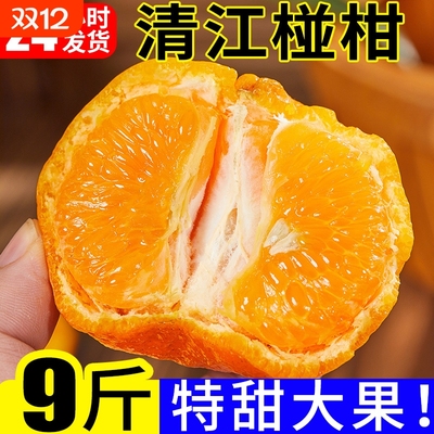 丑橘新鲜9斤整箱|超4000次加购