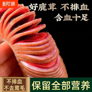 新鲜梅花鹿茸新鲜鹿茸片血片男性含血泡酒整枝正宗鹿茸顺丰航空