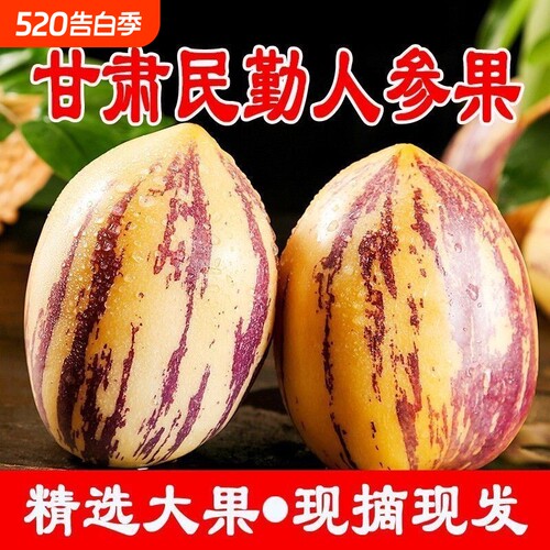 民勤人参果大果当季新鲜孕妇水果甘肃武威沙漠人叁黄肉人生果整箱