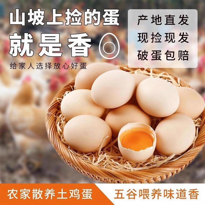 农家散养新鲜土鸡蛋五谷杂粮草鸡蛋柴鸡蛋鲜鸡蛋营养蛋40g±5g/