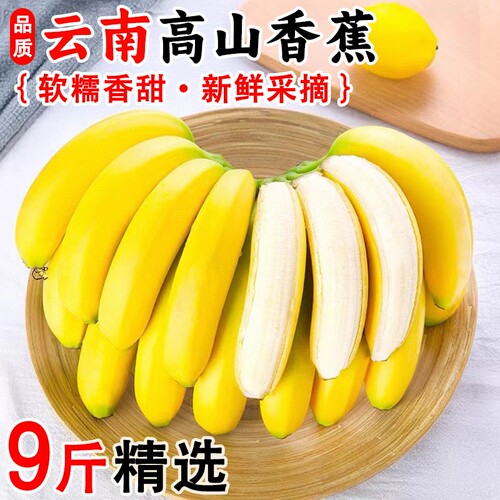 云南高山甜蕉新鲜水果香蕉