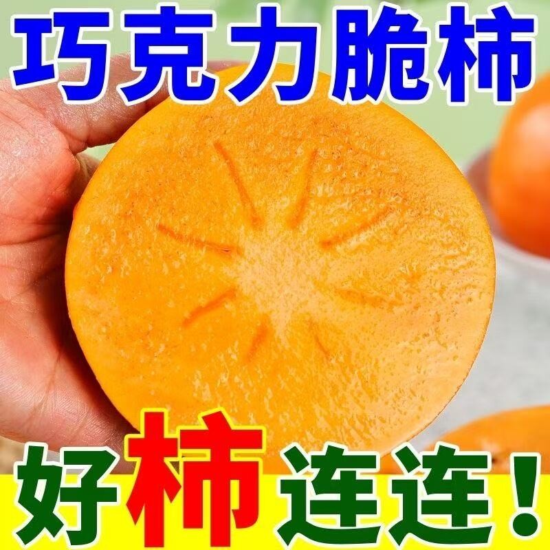 正宗阳丰脆柿应季新鲜甜柿子4.5斤