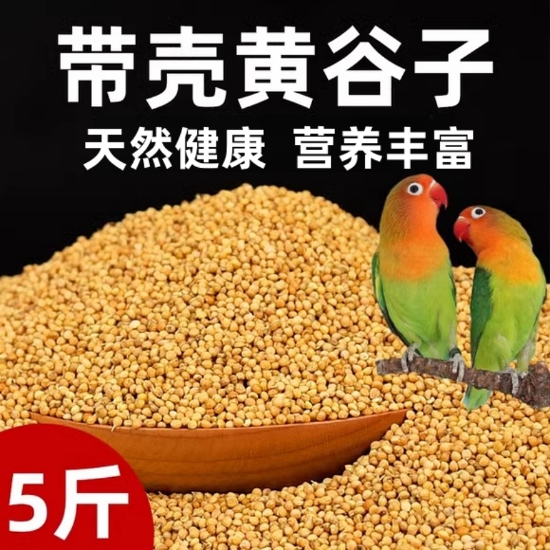 再再鹦鹉鸟粮鸟饲料新鲜黄谷子鹦鹉粮食虎皮玄凤牡丹带壳小米5斤