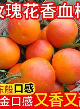 【彩箱】山峡玫瑰花香血橙塔罗科血橙新鲜红心红橙子爆甜孕妇水果