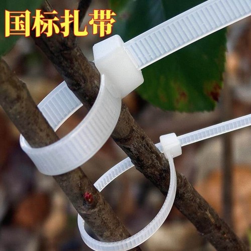 8*350mm国标塑料尼龙宽扎带加长一拉得卡扣强力固定勒死狗束线带4