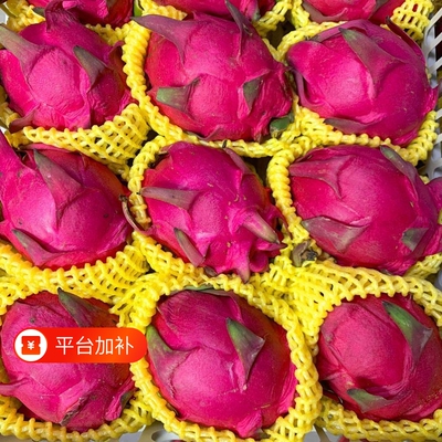 金都一号大果火龙果|千人加购