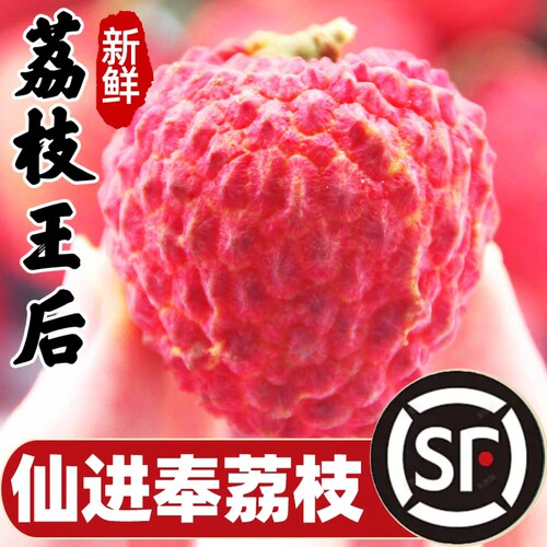 【顺丰包邮】仙进奉荔枝新鲜水果现摘老树大果当季孕妇整箱时令果