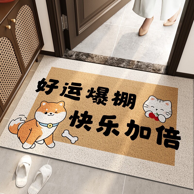 入户门地垫门口防滑丝圈进门脚垫入门地毯新款家用门垫子室外耐脏图片