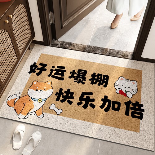 入户门地垫门口防滑丝圈进门脚垫入门地毯新款家用门垫子室外耐脏