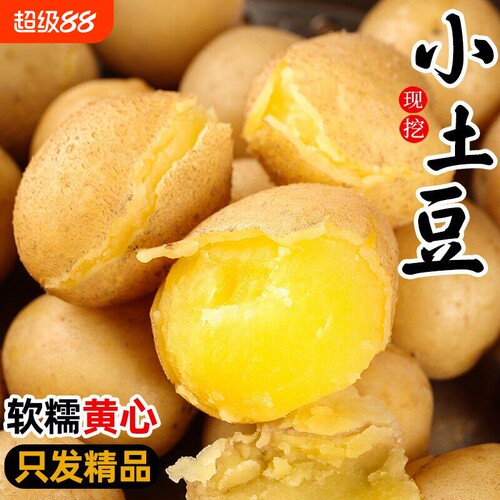 黄皮小土豆现挖新鲜黄心土豆