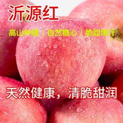 沂源红富士苹果正宗农家自种山东当季整箱甜脆糖心脆甜大果新鲜