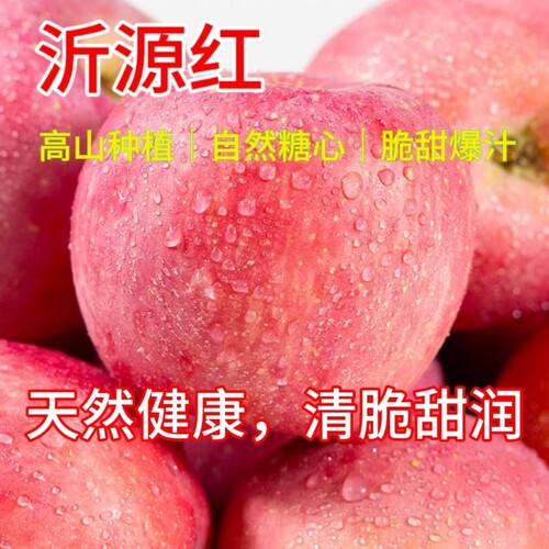 山东沂源红富士苹果原生态