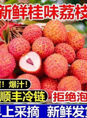【顺丰冷链】正宗新鲜桂味荔枝当季新鲜水果现摘非仙糍进奉糯米