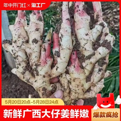 广西柳州特产腌制炒鸭鲜嫩到家